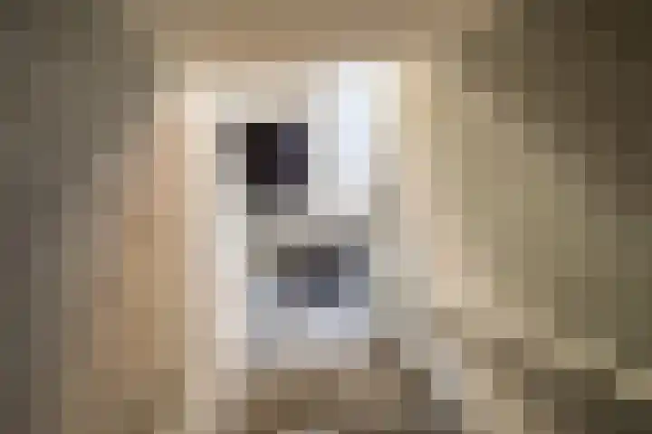 Mondriaanplein 8 Uden thumbnail 5