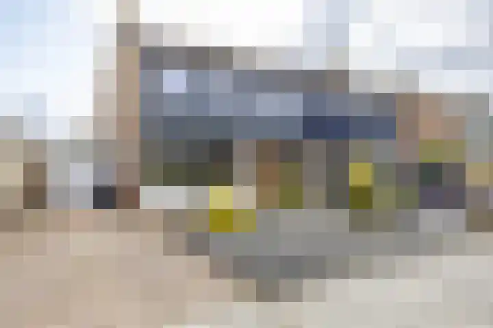 Mondsteen 6 Delfzijl thumbnail 46