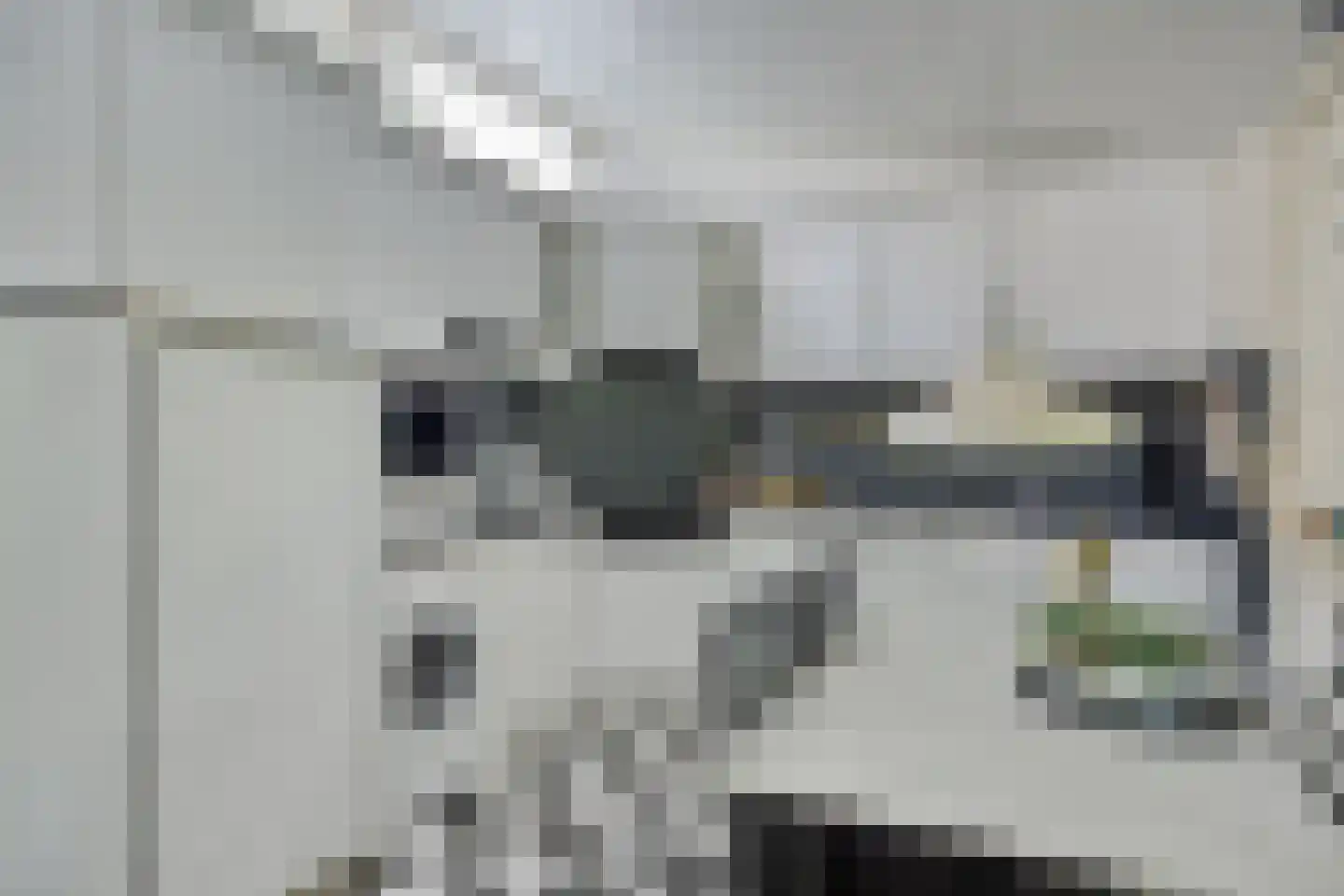 Monnet-Nes 3 Bergen (NH) thumbnail 13
