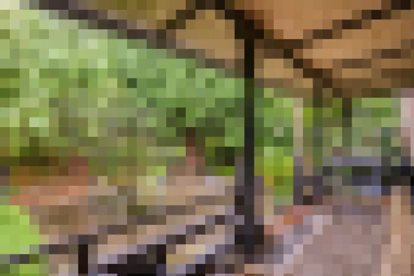 Monnet-Nes 3 Bergen (NH) thumbnail 26