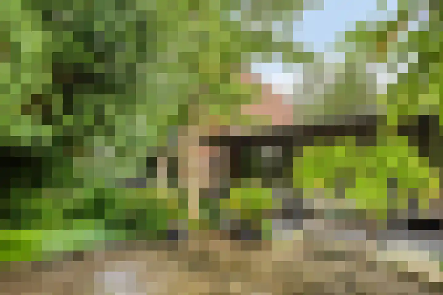 Monnet-Nes 3 Bergen (NH) thumbnail 28