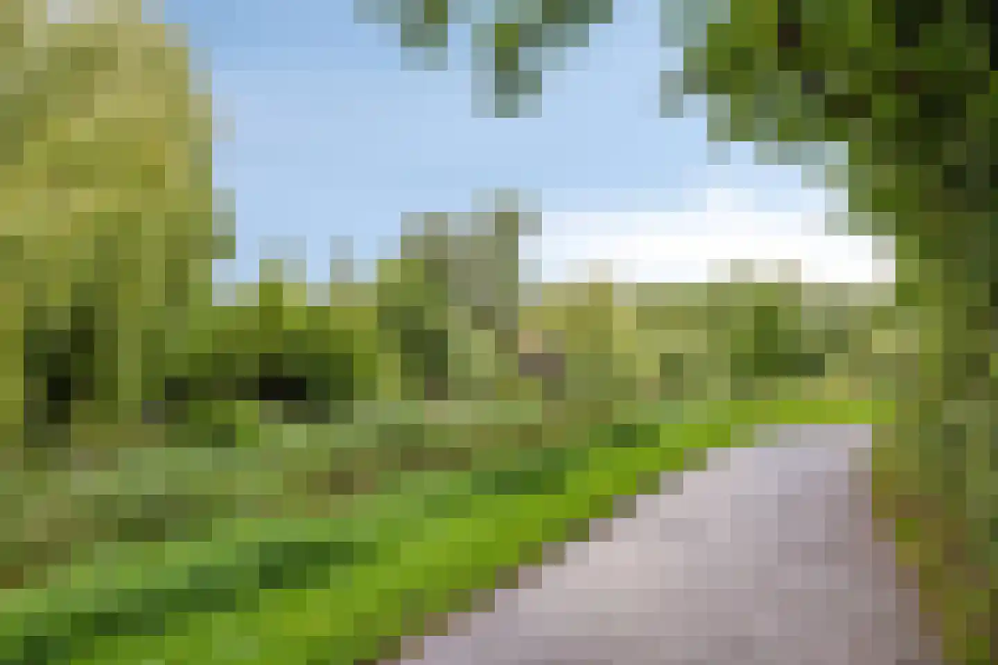 Monnet-Nes 3 Bergen (NH) thumbnail 35