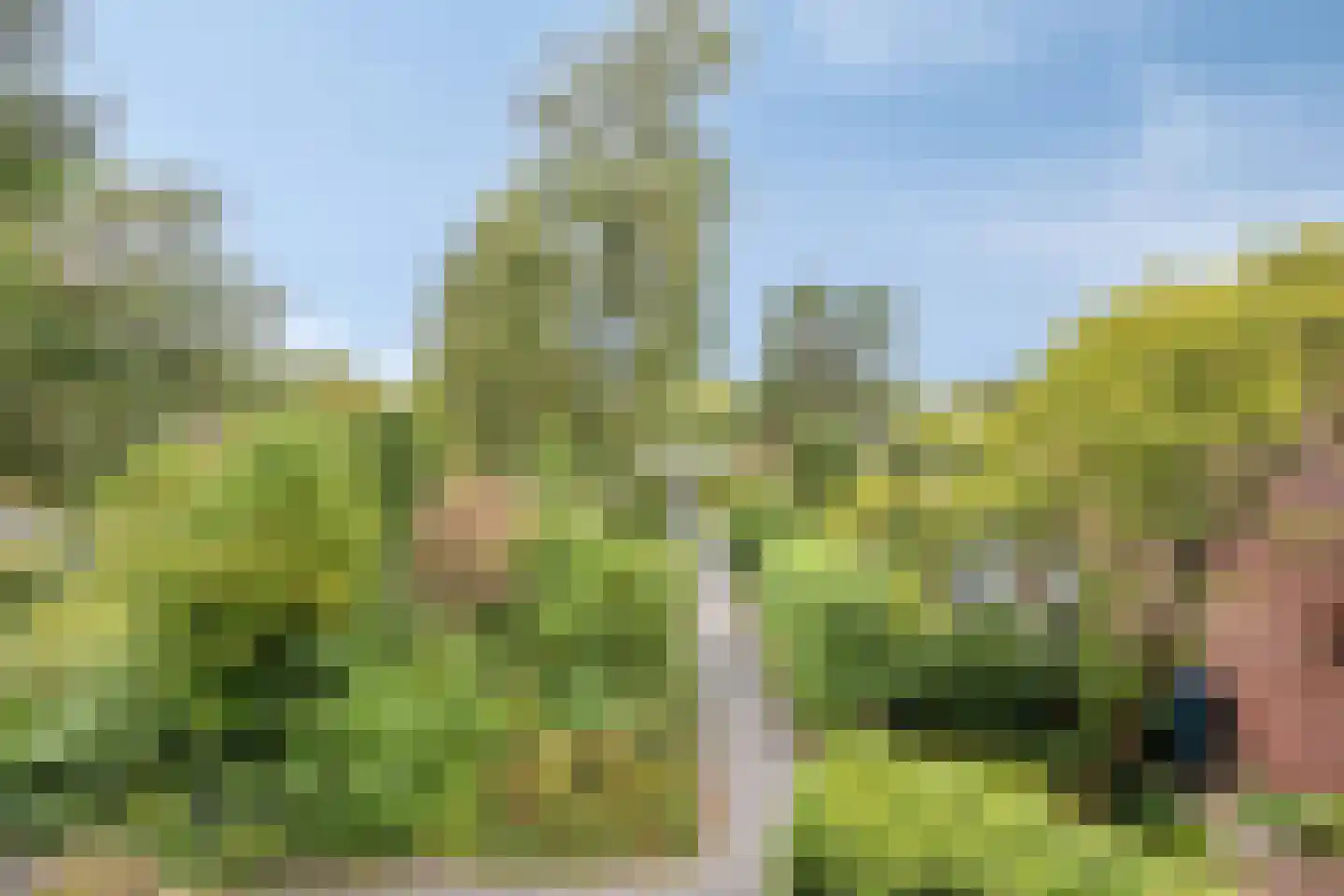 Monnet-Nes 3 Bergen (NH) thumbnail 4