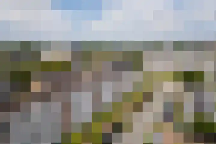 Monnetlaan 3 A dans Utrecht