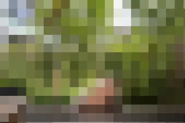 Monnetlaan 4 Utrecht thumbnail 25