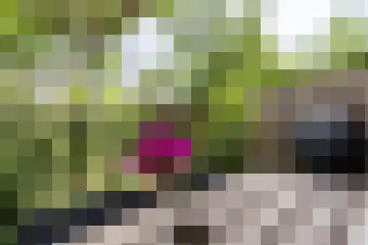 Monnetlaan 4 Utrecht thumbnail 26