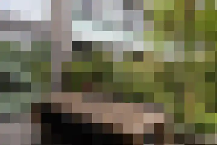 Monnetlaan 4 Utrecht thumbnail 27