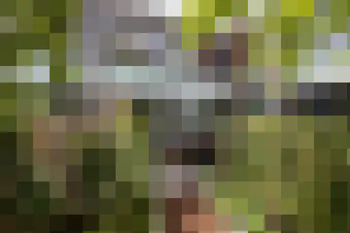 Monnetlaan 4 Utrecht thumbnail 33