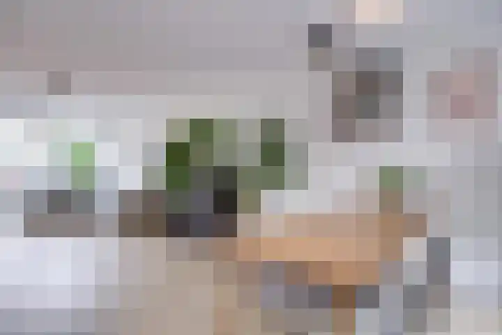 Monnetlaan 4 Utrecht thumbnail 36