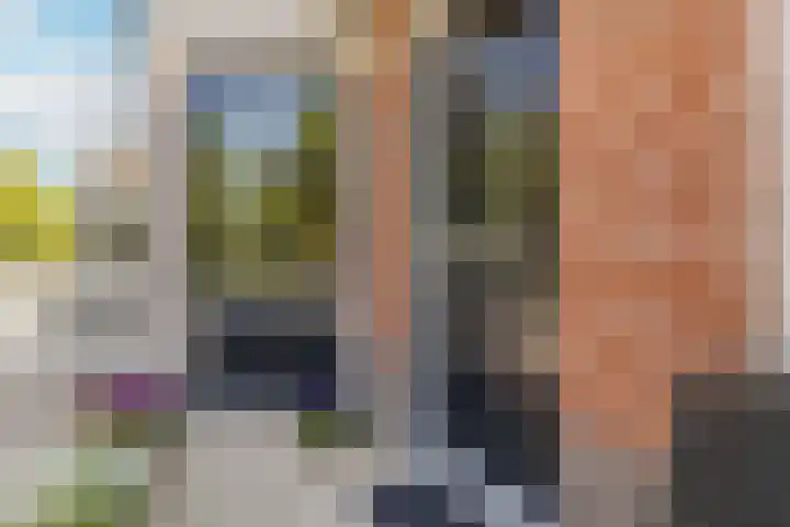 Monnetsingel 33 Ede foto 2