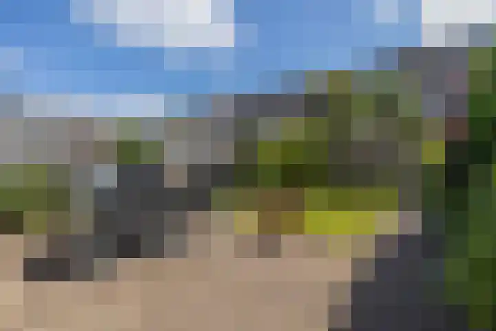 Monnetsingel 33 Ede thumbnail 29