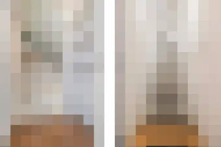 Monnetsingel 33 Ede thumbnail 32