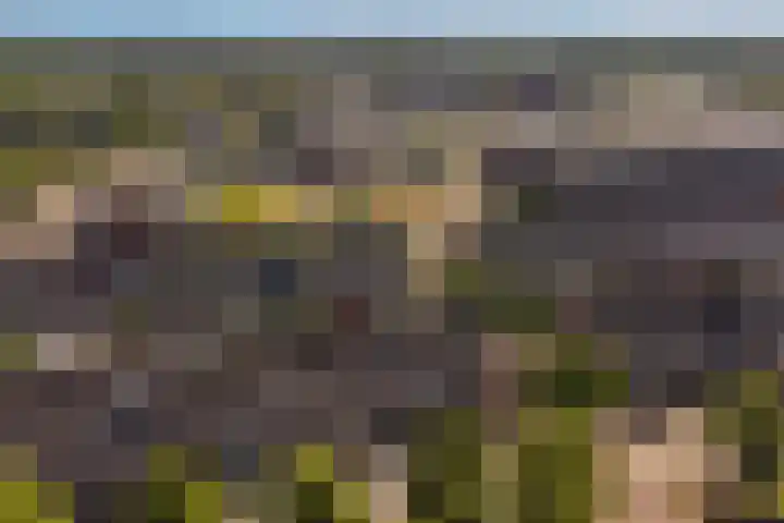 Monnetsingel 33 Ede thumbnail 39