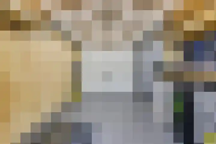 Monnetstede 1 Goes thumbnail 13