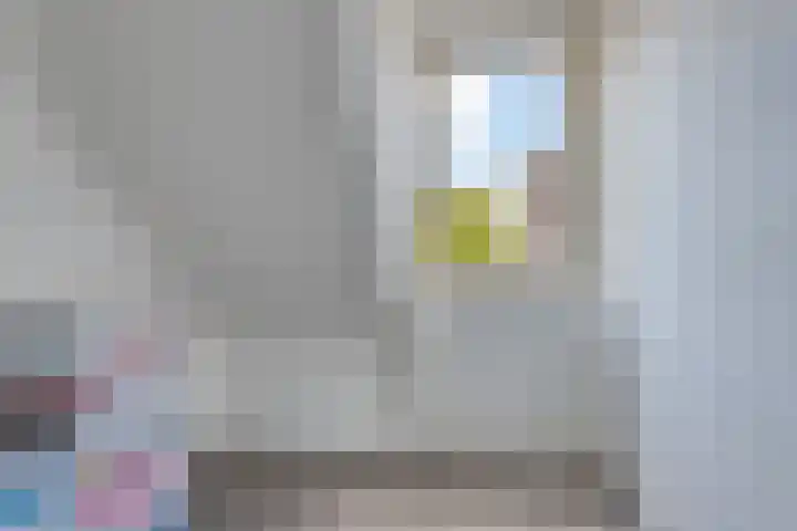 Monnetstede 1 Goes thumbnail 20