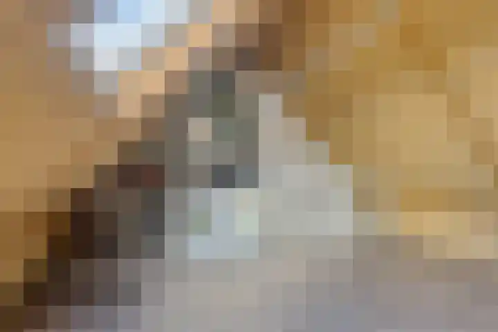 Monnetstede 1 Goes thumbnail 25