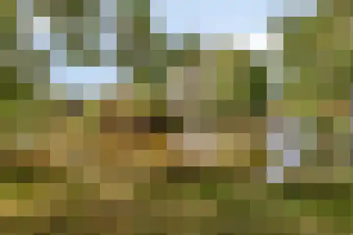 Monnetstede 1 Goes thumbnail 32