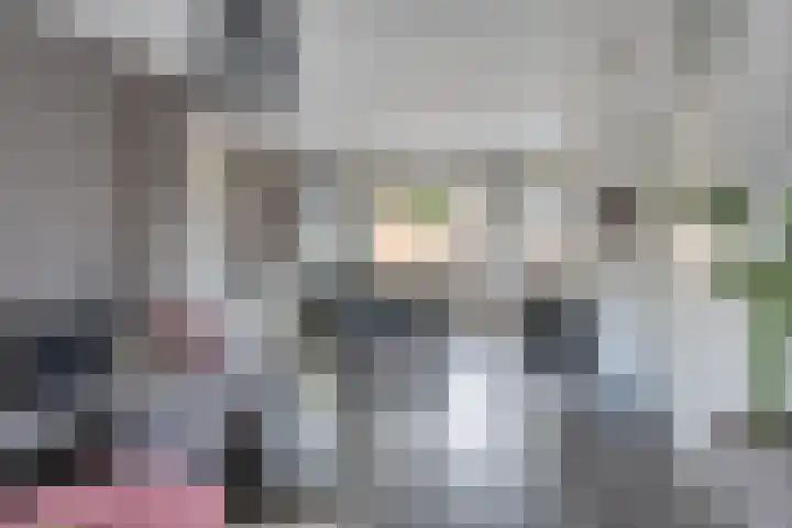 Monnetstede 1 Goes thumbnail 5