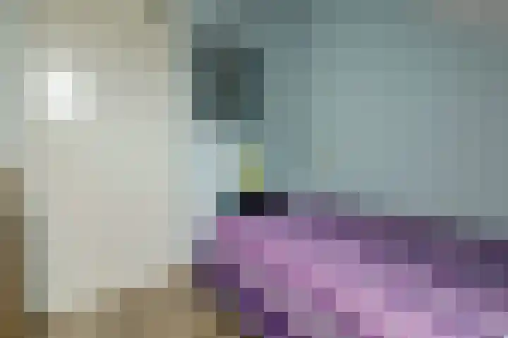 Monnetstede 17 Goes thumbnail 18