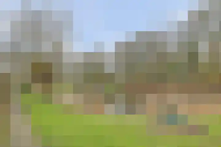 Monnetstede 17 Goes thumbnail 26