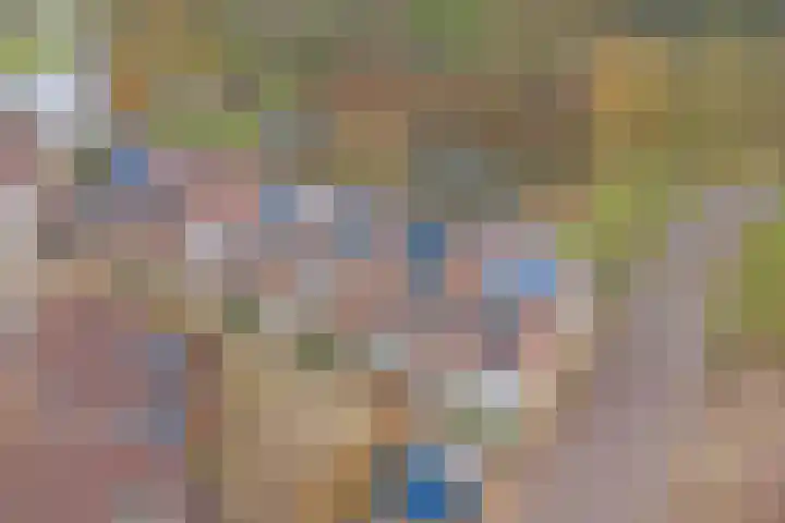 Monnetstede 17 Goes thumbnail 27