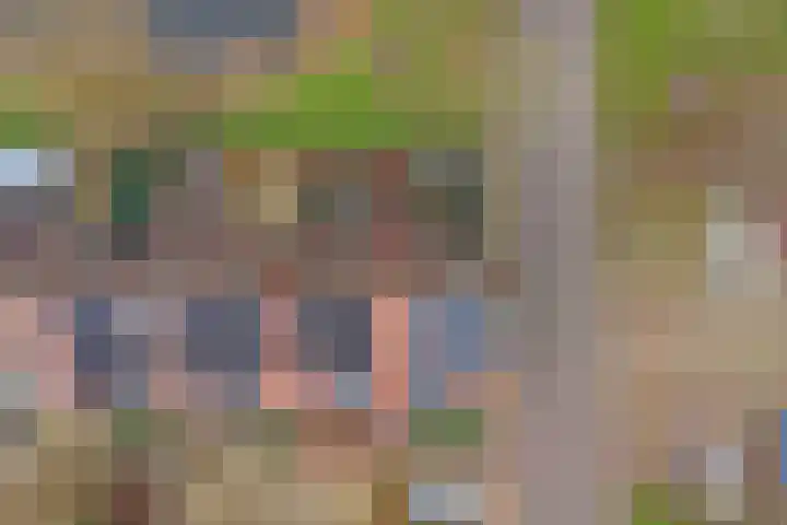 Monnetstede 17 Goes thumbnail 28
