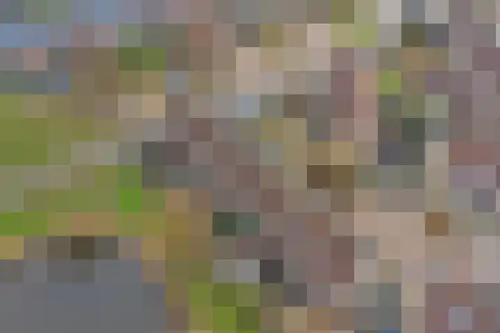 Monnetstede 17 Goes thumbnail 29