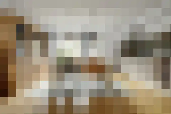 Monnetstede 17 Goes thumbnail 9