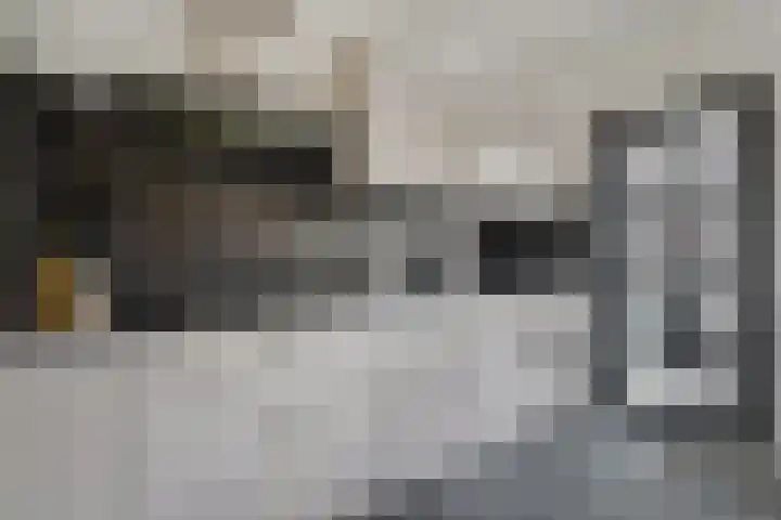 Monnetstede 67 Goes thumbnail 12