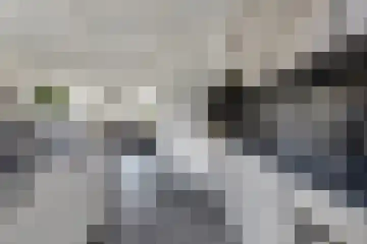 Monnetstede 67 Goes thumbnail 13