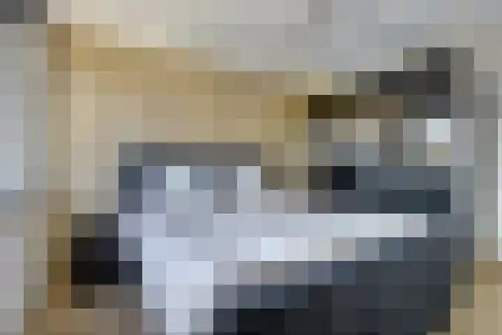 Monnetstede 67 Goes thumbnail 19