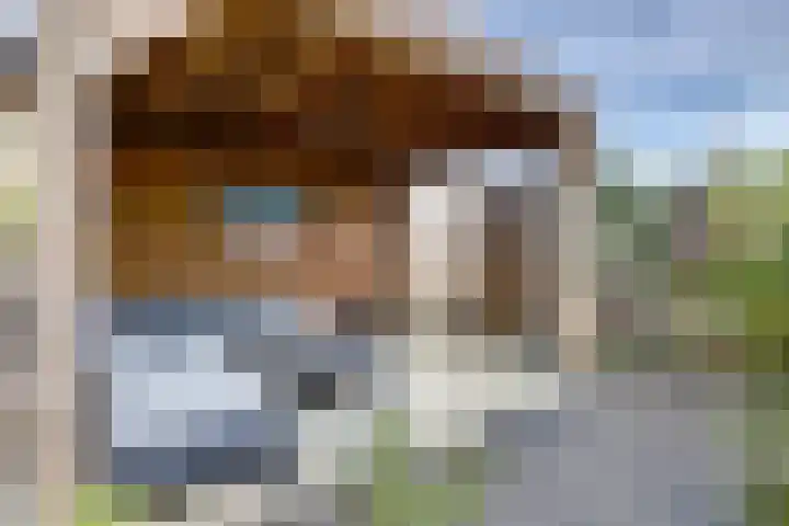 Monnetstede 67 Goes thumbnail 28