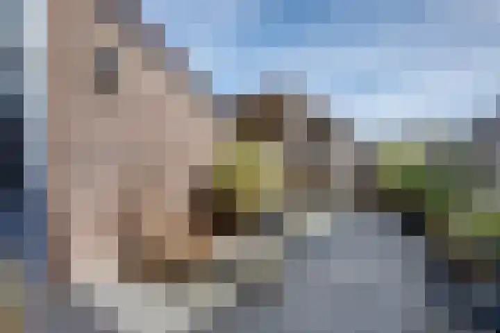 Monnetstede 67 Goes thumbnail 33
