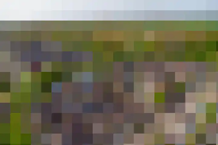 Monnetstede 67 Goes thumbnail 35