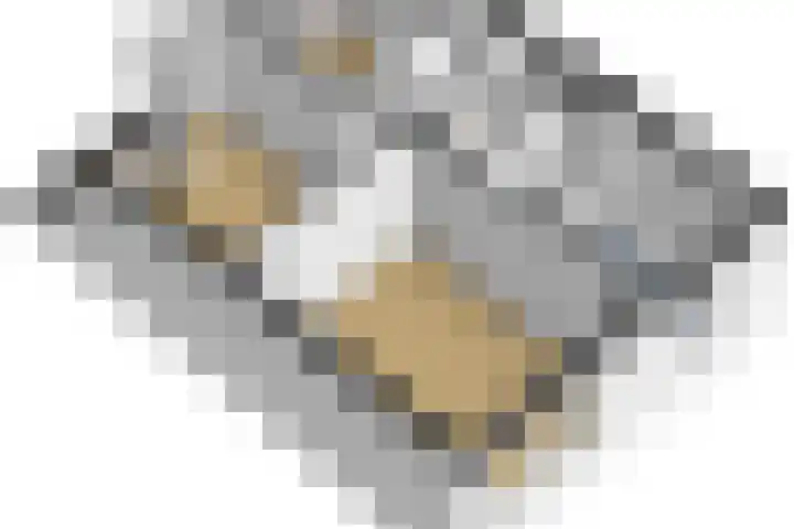 Monnetstede 67 Goes thumbnail 43