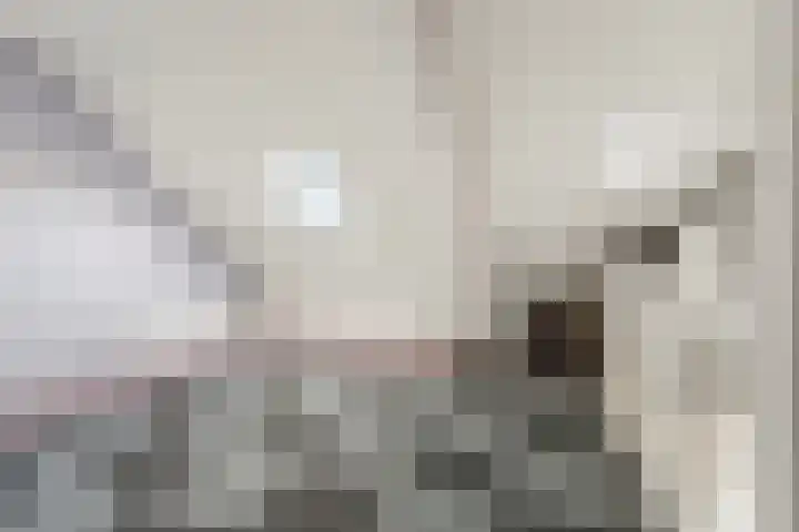 Monnetstraat 14 Zevenaar thumbnail 33