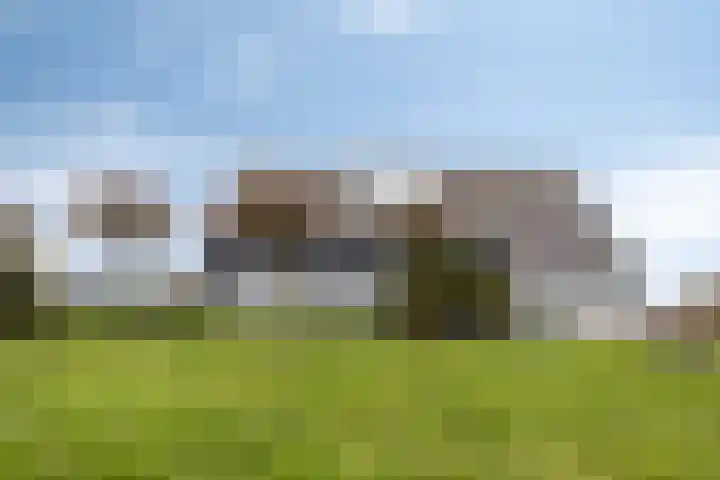 Monnikendijk 1 Kattendijke foto 2