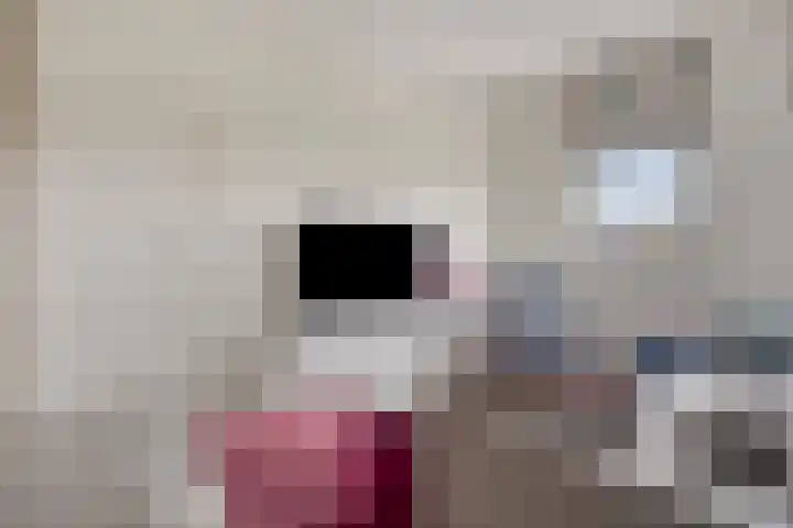 Monnikendijk 1 Kattendijke thumbnail 23