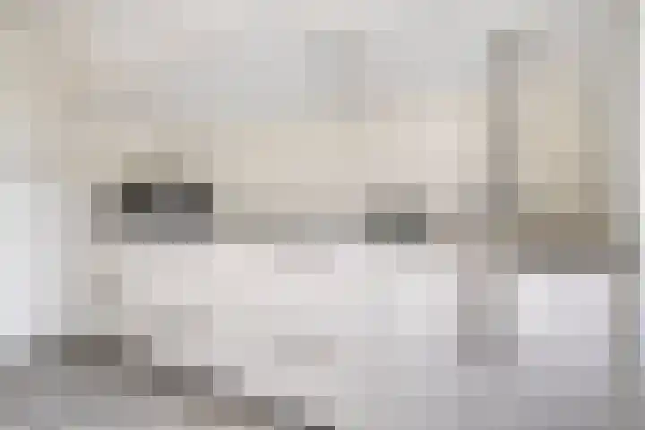 Monnikendijk 1 Kattendijke thumbnail 25