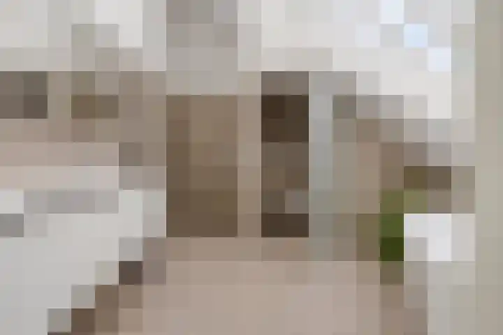Monnikendijk 1 Kattendijke thumbnail 31