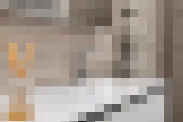 Monnikendijk 1 Kattendijke thumbnail 35