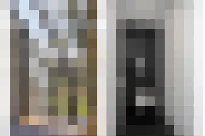 Monnikendijk 1 Kattendijke thumbnail 39