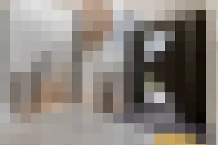 Monnikendijk 1 Kattendijke thumbnail 4