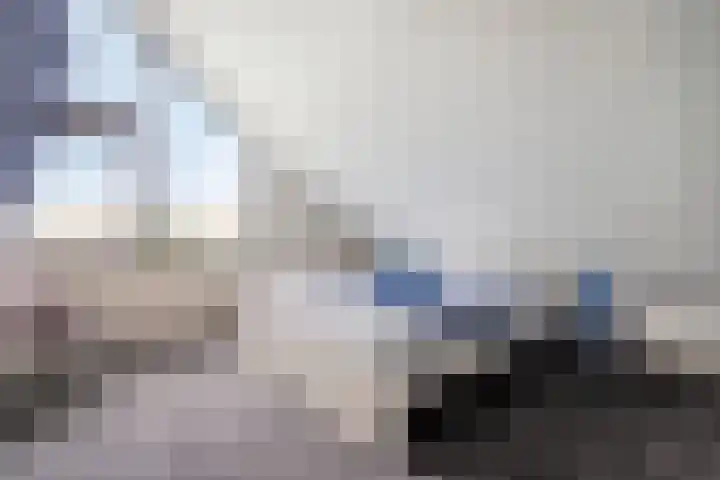 Monnikendijk 1 Kattendijke thumbnail 40