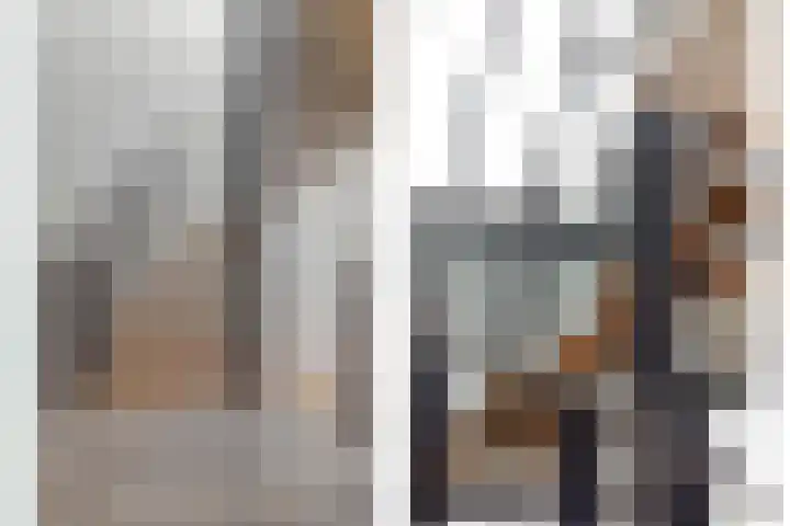 Monnikendijk 1 Kattendijke thumbnail 48