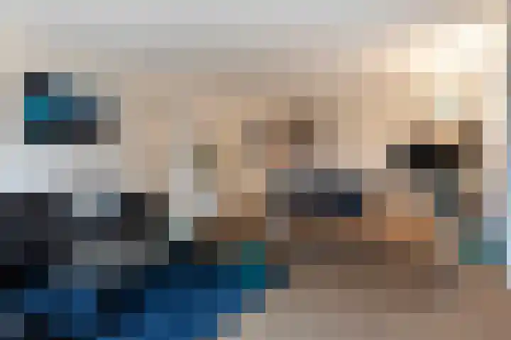 Monnikendijk 1 Kattendijke thumbnail 52