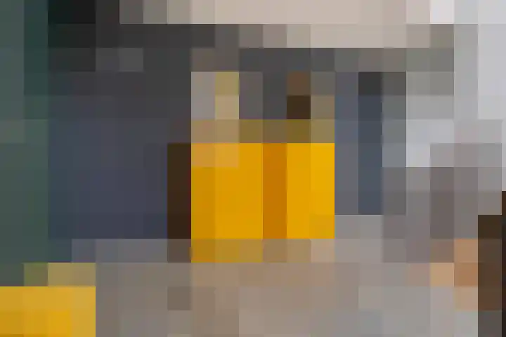 Monnikendijk 1 Kattendijke thumbnail 54