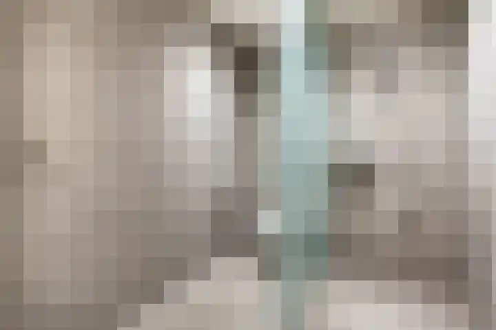 Monnikendijk 1 Kattendijke thumbnail 56