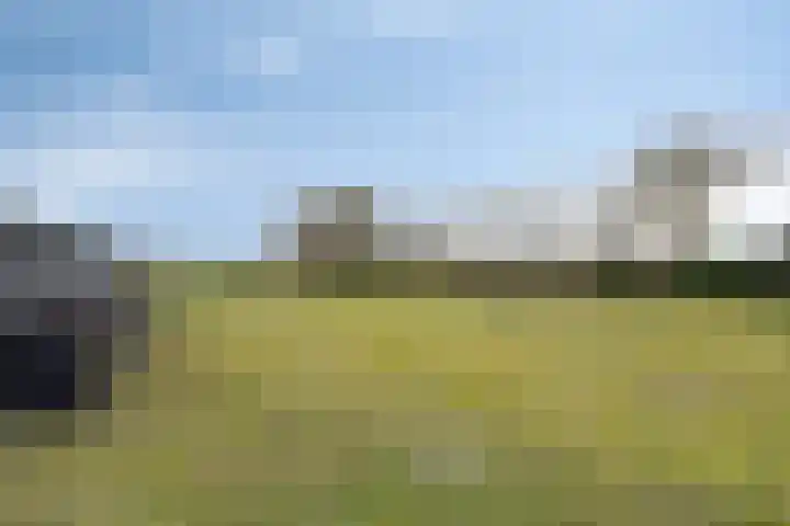 Monnikendijk 1 Kattendijke thumbnail 63