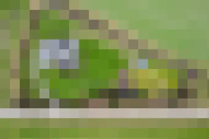 Monnikendijk 1 Kattendijke thumbnail 69
